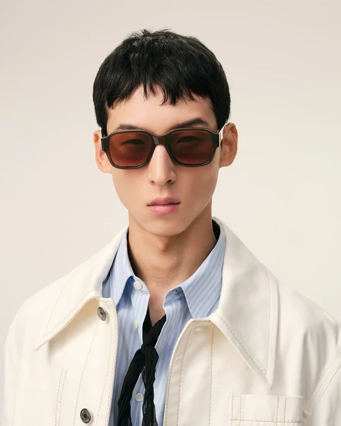 Brown 75006 Sunglasses Brown 75006 Sunglasses