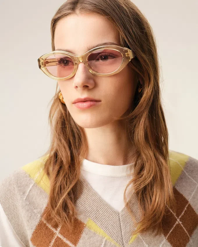 Brown 75017 Sunglasses Brown 75017 Sunglasses