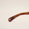 Brown Acetate 75006 Sunglasses