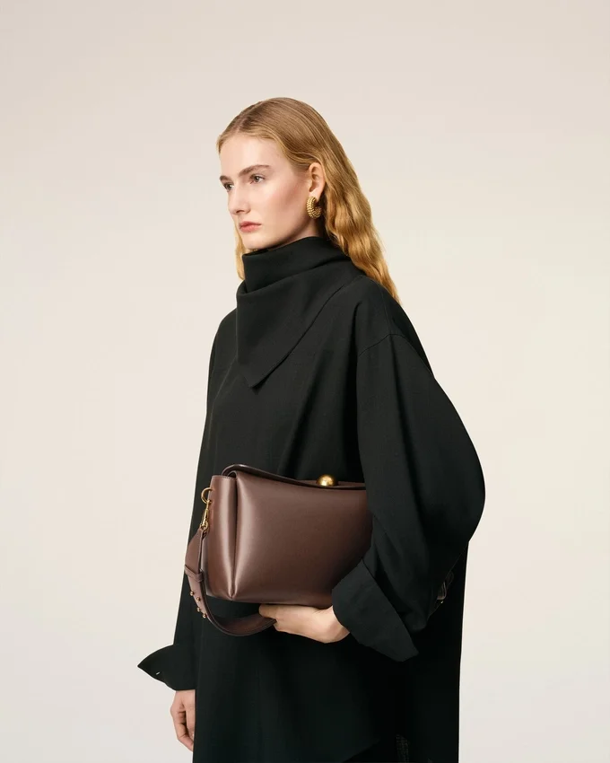 Brown Smooth Leather Carrousel Medium Bag Brown Smooth Leather Carrousel Medium Bag