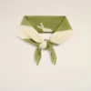 Green Cotton Ami De Coeur Printed Scarf