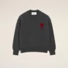 Grey Wool Crewneck Sweater with Contrasted Ami De Coeur