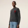 Grey Wool Crewneck Sweater with Contrasted Ami De Coeur