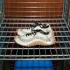 White Mesh Mirage Sneakers